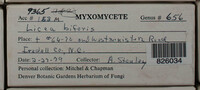 Image Associated With the Occurence